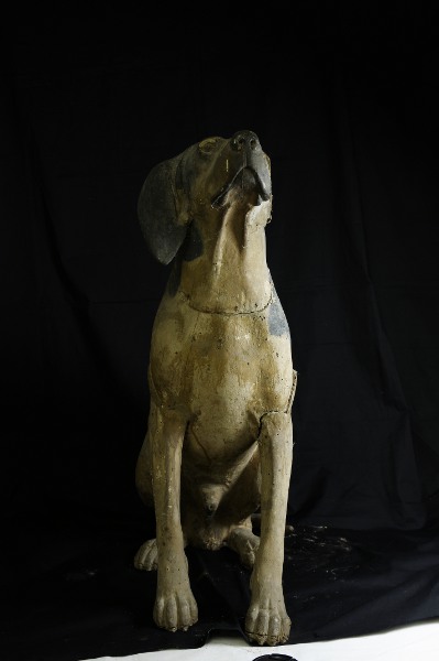 Scultura lignea policroma raffigurante un cane da caccia seduto (sec. XVIII); fase del processo di restauro - Polychrome wooden sculpture portraying a hunting dog sitting (XVIII century) step of the restoration process