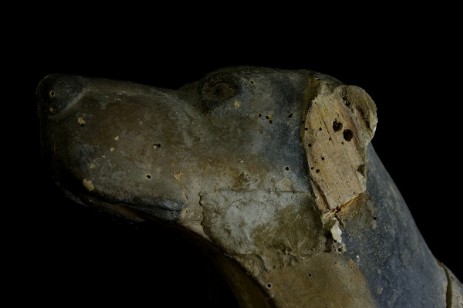 Scultura lignea policroma raffigurante un cane da caccia seduto (sec. XVIII); fase del processo di restauro - Polychrome wooden sculpture portraying a hunting dog sitting (XVIII century) step of the restoration process